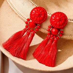 Trendy tassel drop earrings